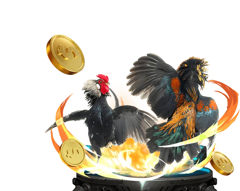 Cộng đồng người chơi 97win5 nhà cái